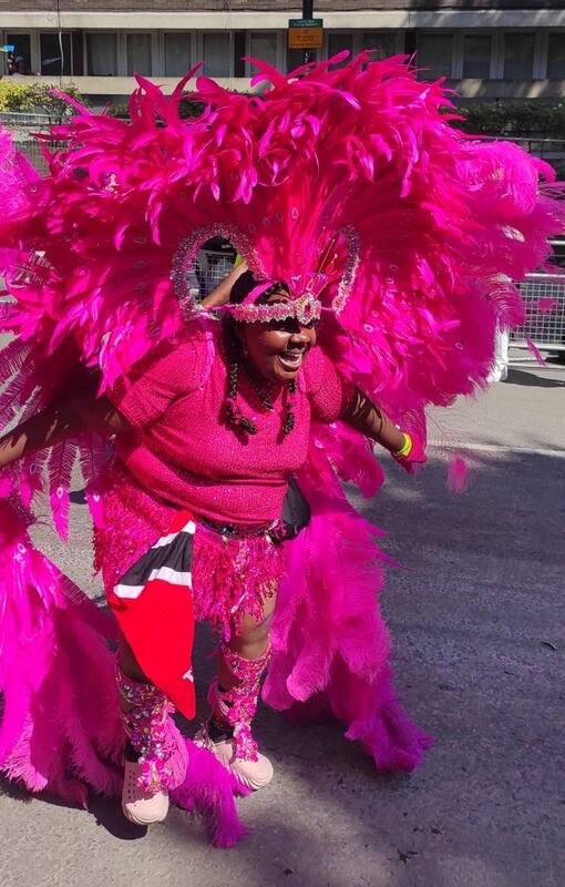 Carnival masquerader in pink feathered costume